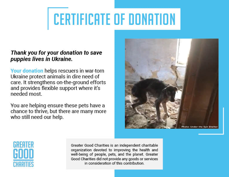 Funded: Save Sick & Starving Dog Found in Destroyed Home in Ukraine