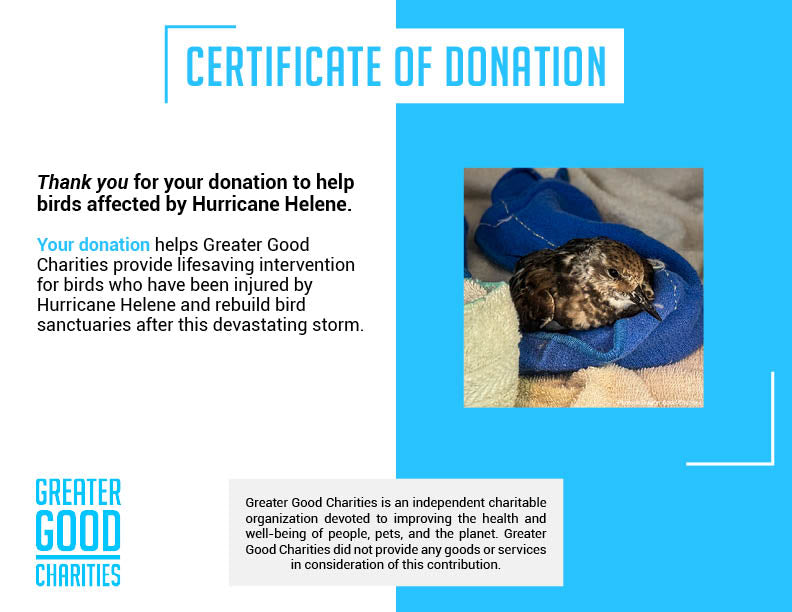 URGENT: Help Birds Affected by Hurricane Helene