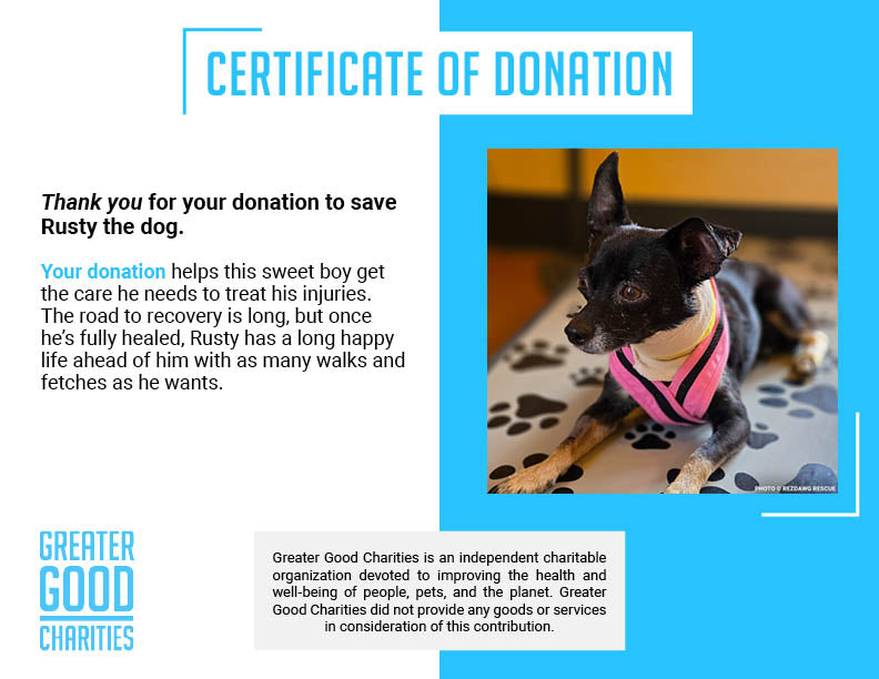 Funded: Support Rusty's Recovery After Gruesome Animal Attack