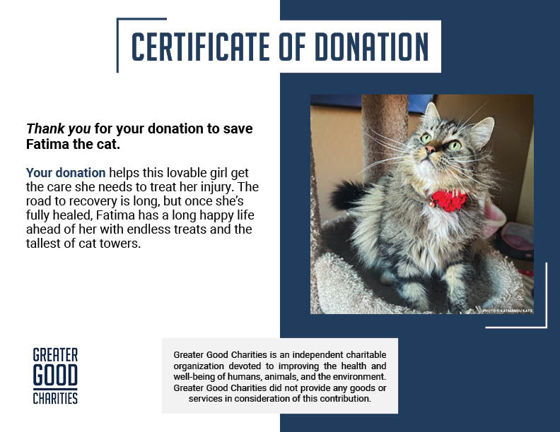 Fatima's Severe Leg Wound Needs Urgent Care