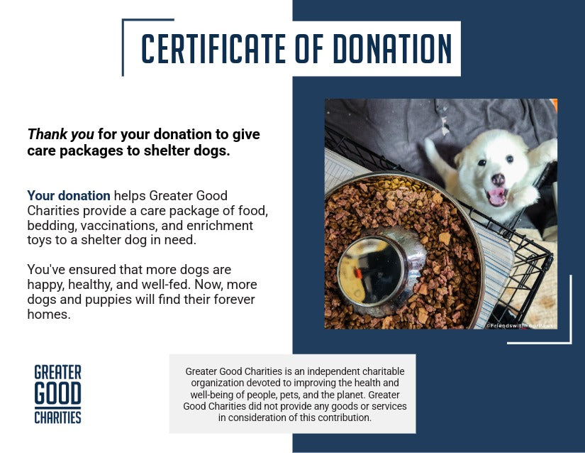 Care Packages for Shelter Dogs