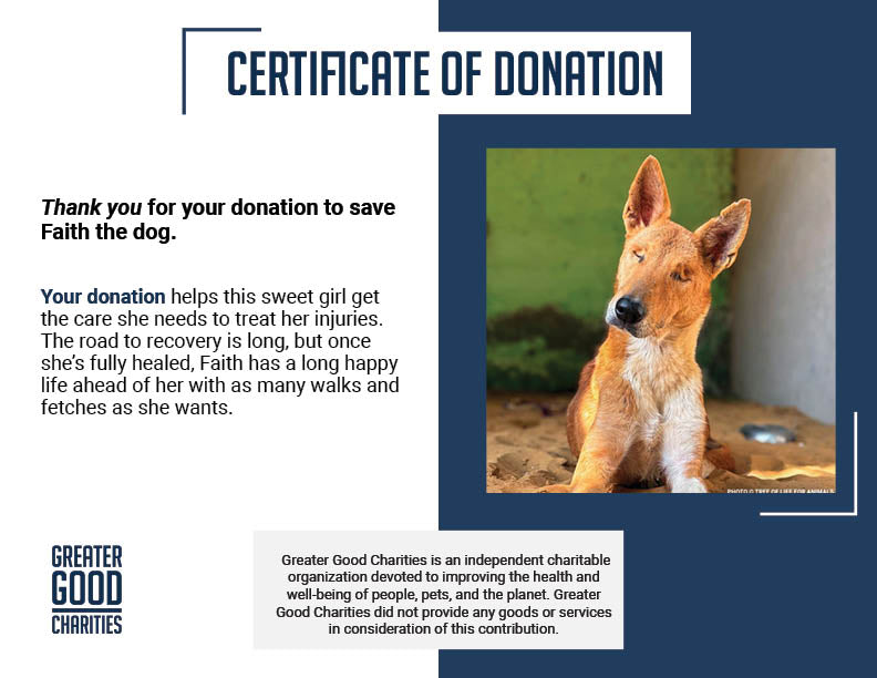 Funded: Support Faith’s Recovery After a Brutal Attack