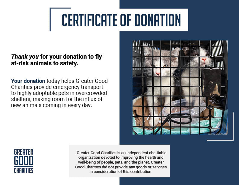 Emergency Flight: Fly At-Risk Shelter Pets Out of Overcrowded Shelters