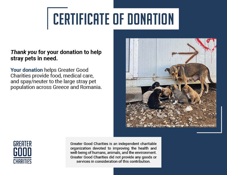 Starving & Injured: Homeless Animals Around the World Need Your Help