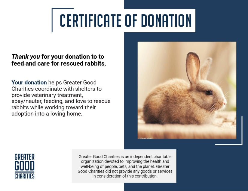 Care for Rescued Rabbits