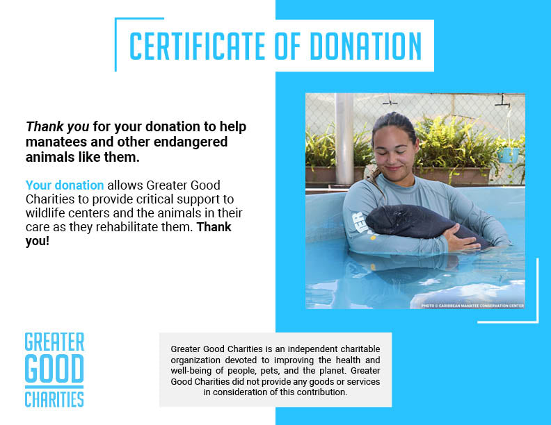 Help Save Endangered Manatees