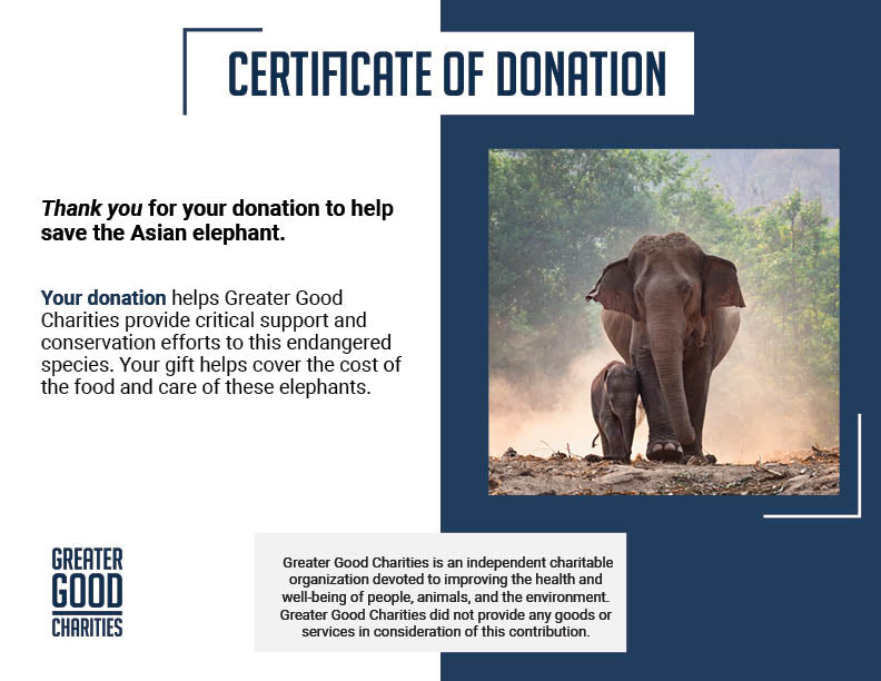 Help Save the Asian Elephant