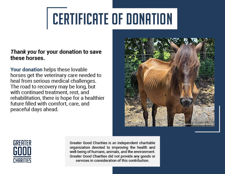 Funded: Help Emaciated Horses Heal from Severe Neglect