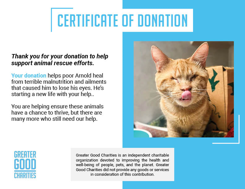 Help Arnold Navigate a New Life After So Much Loss