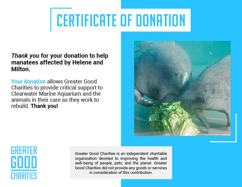 Save Manatees and Restore Their Habitat