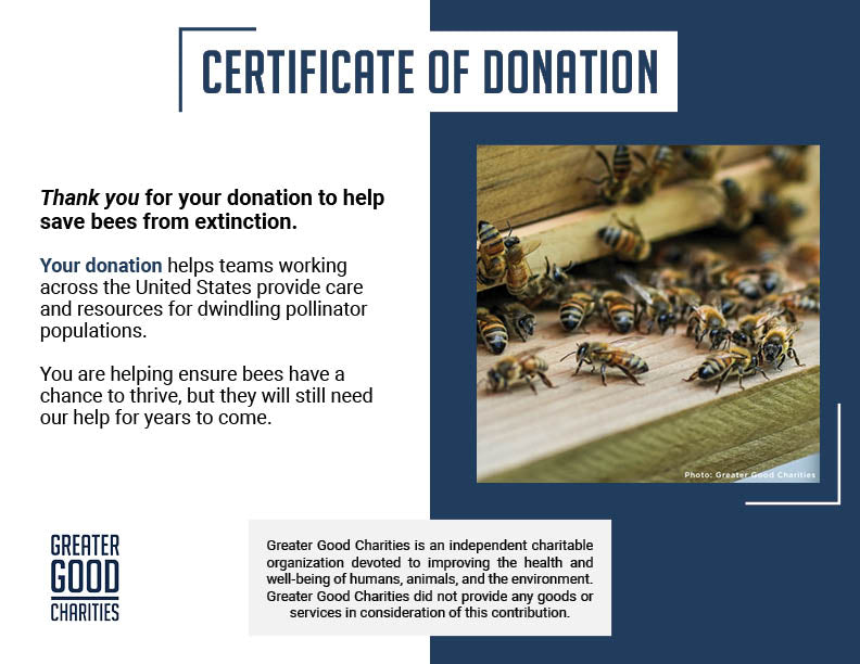 Bees on the Brink: Help Save This Vital Species