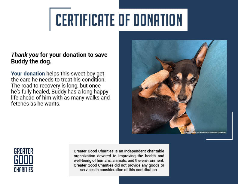 Every Breath Is a Fight - This Dog Needs Help Now