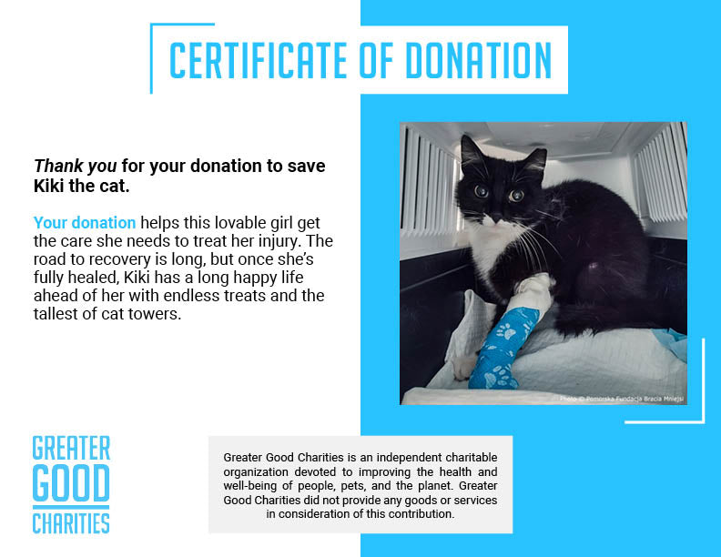 Funded: Help Save Cat Who Was Shot and Found Lying on Side of Road