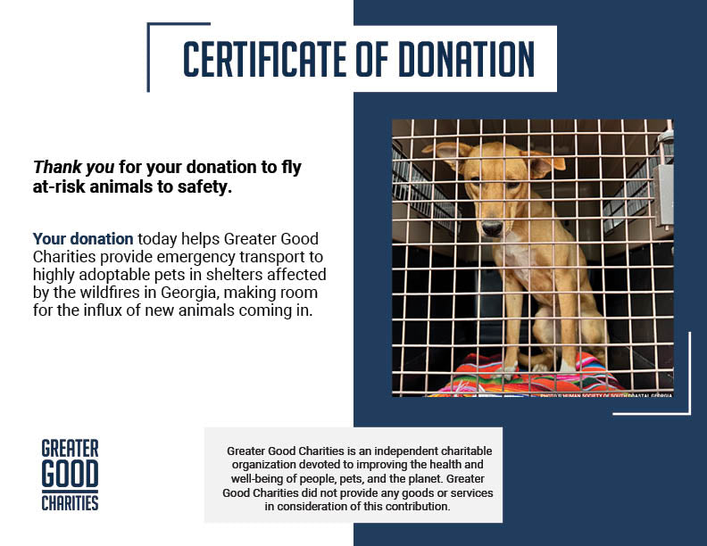 Emergency Flight: Fly At-Risk Shelter Pets to Safety Amidst Wildfires