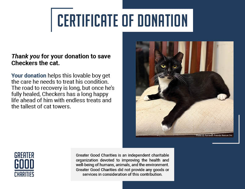 Funded: Help Checkers Overcome Severe Asthma