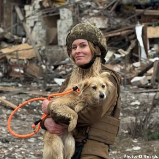 Crisis in Ukraine: Help Evacuate Pets From the Frontlines