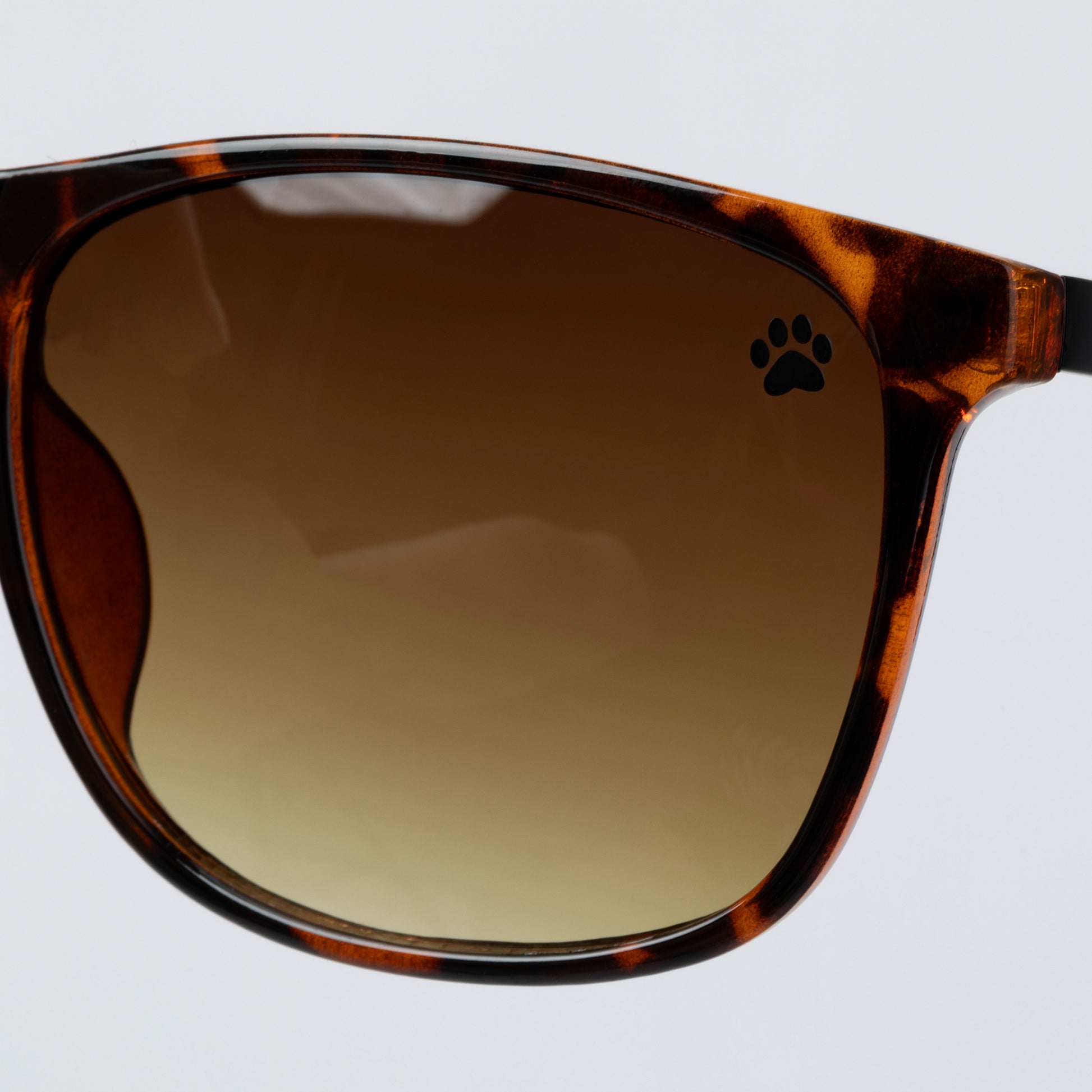 Sunglasses with tortoiseshell frame and brown lens on a light gray background