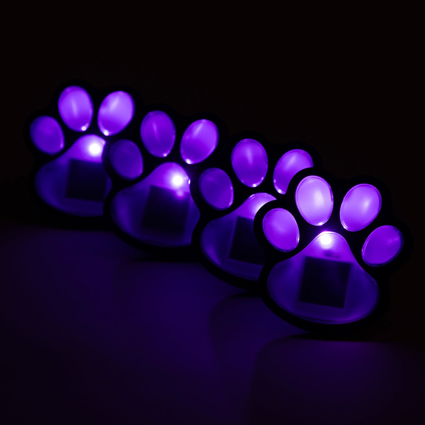 Purple LED paw lights on a black background
