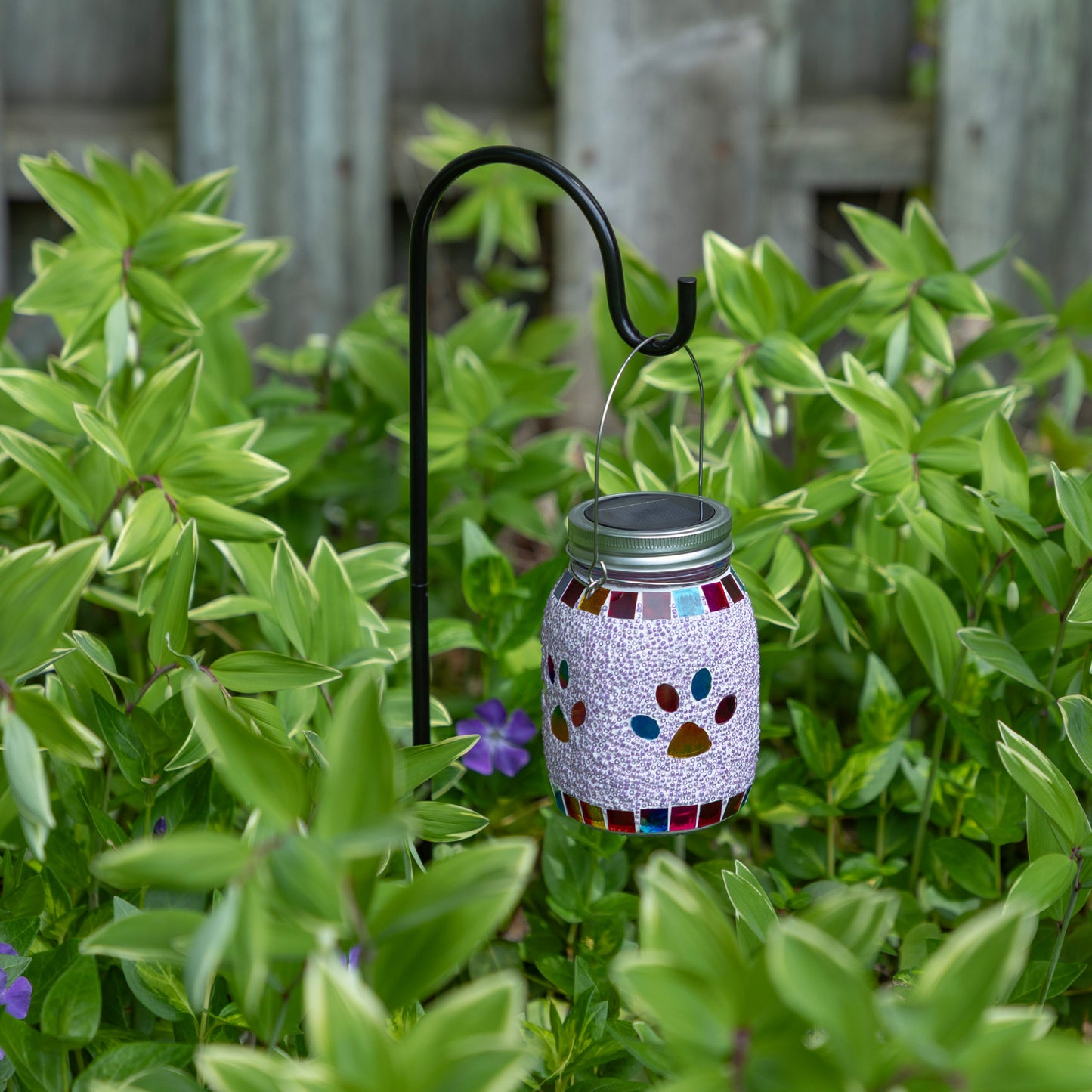 All Over Multicolor Paws Beaded Solar Lantern with Hook