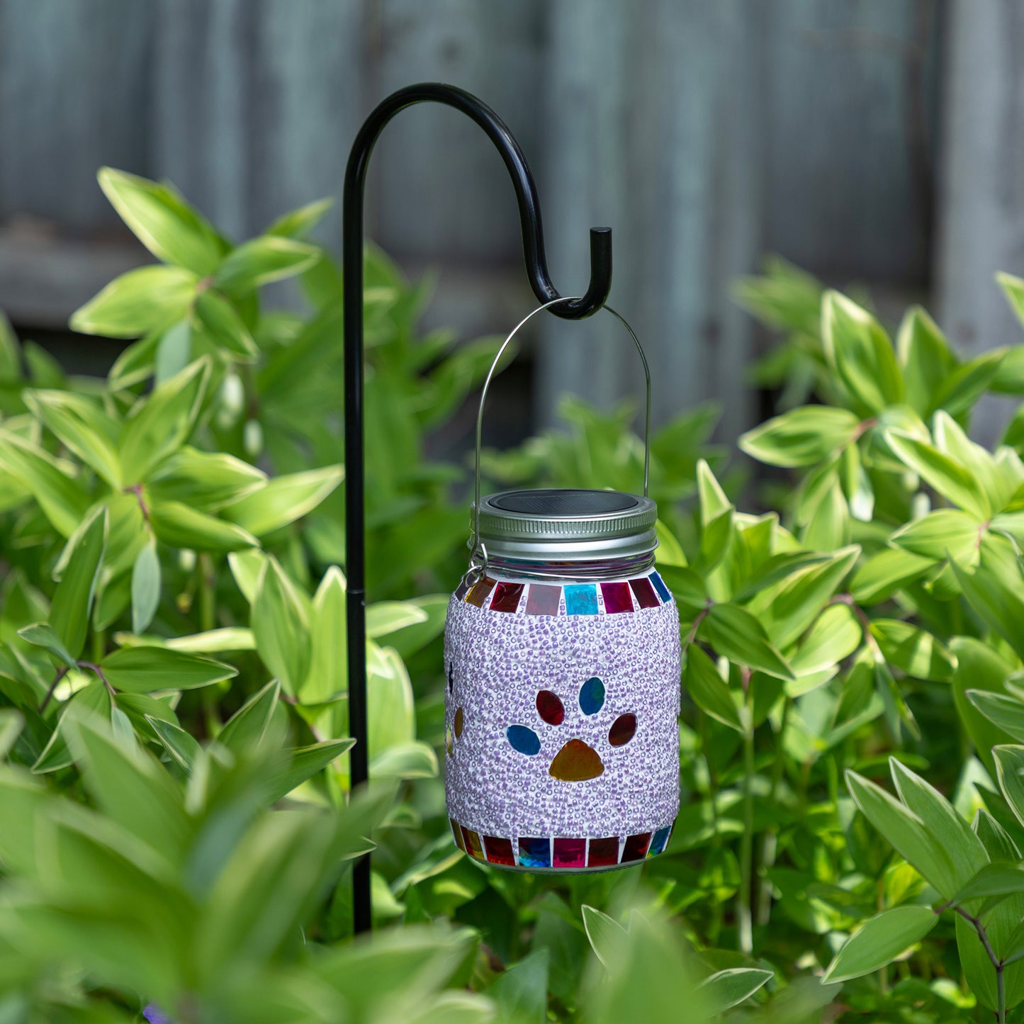All Over Multicolor Paws Beaded Solar Lantern with Hook