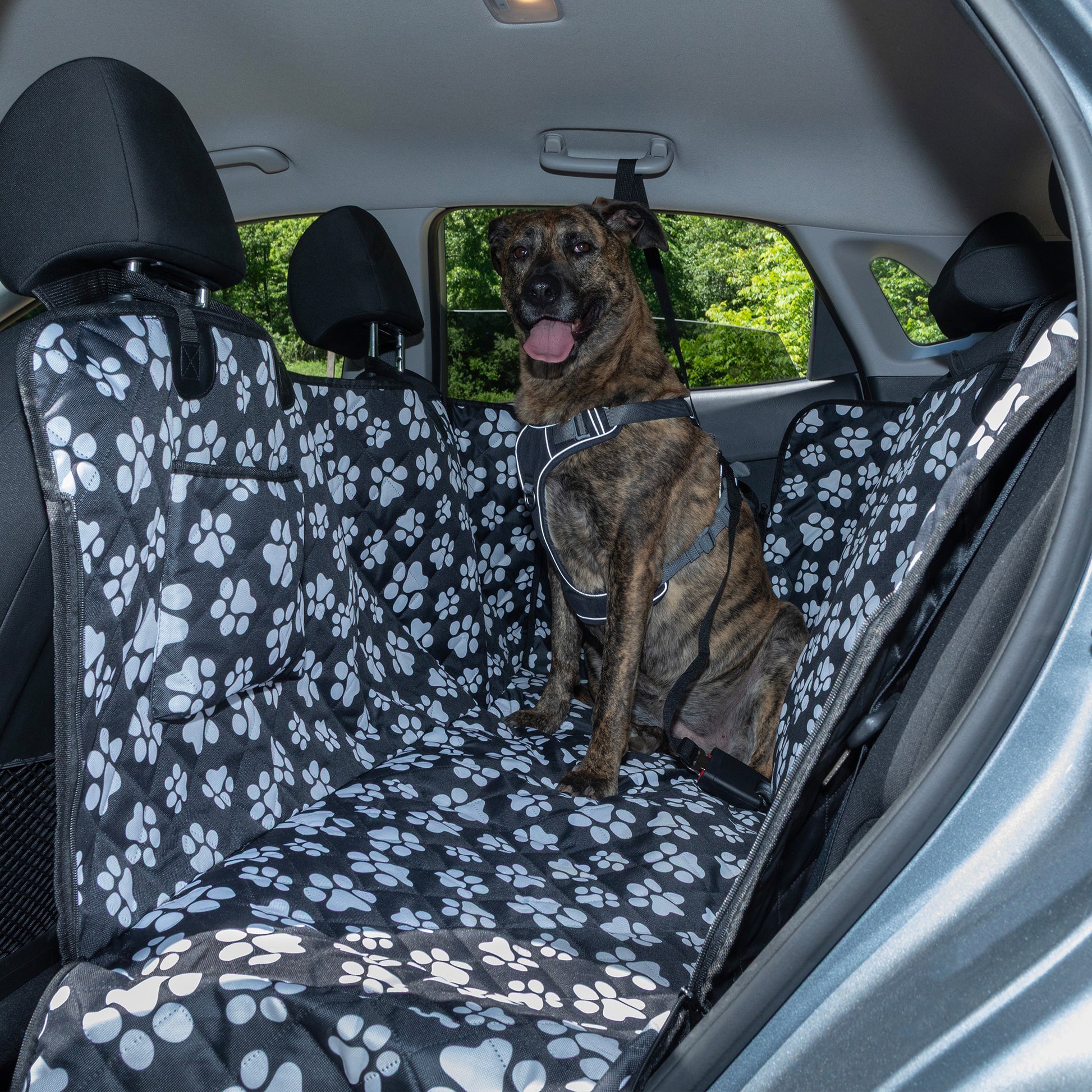Dog sitting on a car seat cover with paw prints in a vehicle