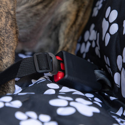 Close-up of a dog's harness being secured on a black seat cover with white paw prints.