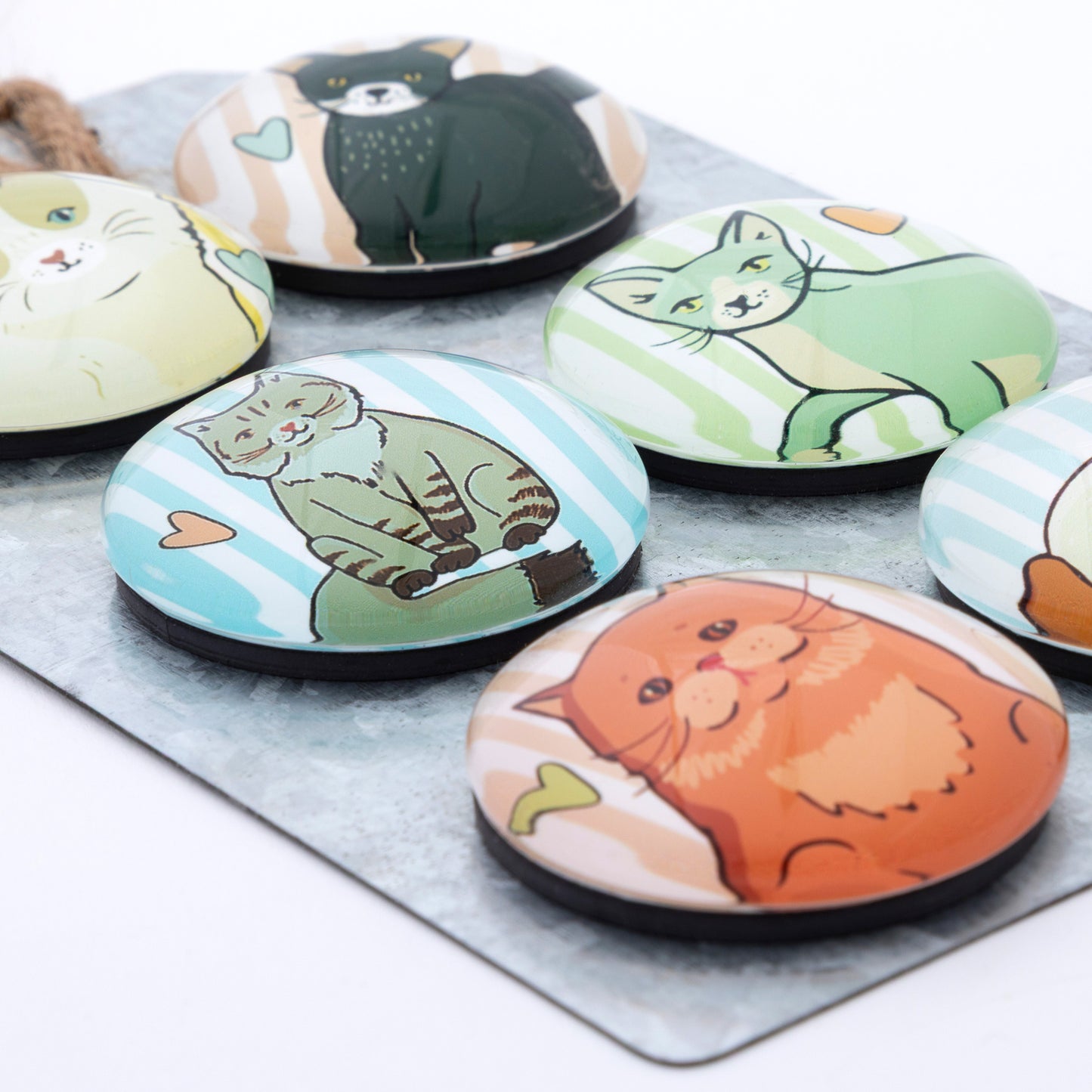 A set of 6 cat dome magnets on a metal gift tag, against a white background.