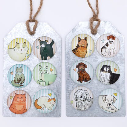 Set of round animal-themed coasters in packaging on a white background