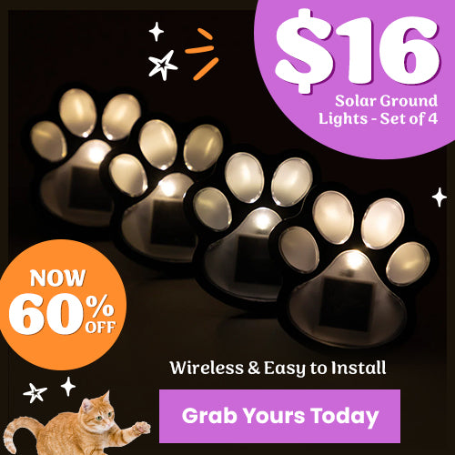 Solar Ground Lights Set of 4 promotion from The Animal Rescue Site and GreaterGood. Proceeds help support shelter pets and more. Paw-shaped outdoor lights, warm white glow, black garden pathway décor.