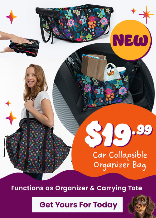 Shop the new Car Collapsible Organizer Bag for $19.99, featuring a colorful paw print pattern. Proceeds help support shelter pets and more through The Animal Rescue Site and GreaterGood.