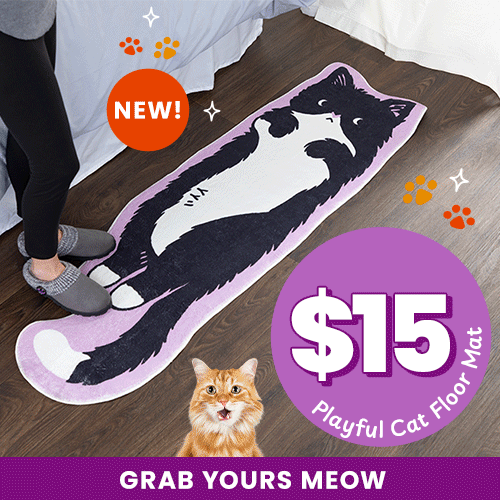Shop the new Playful Cat Floor Mat for $15. Grab yours meow and help support shelter pets and more through The Animal Rescue Site and GreaterGood.