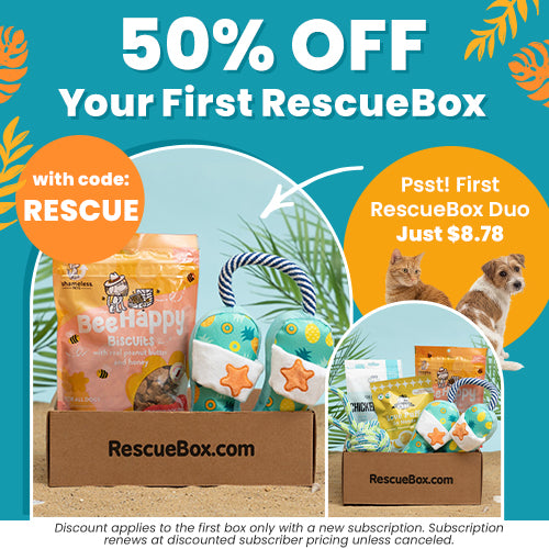 50% Off Your First RescueBox promotion from The Animal Rescue Site and GreaterGood. Proceeds help support shelter pets and more. BeeHappy dog treats, blue rope toy, patterned plush toys in a pet subscription box.