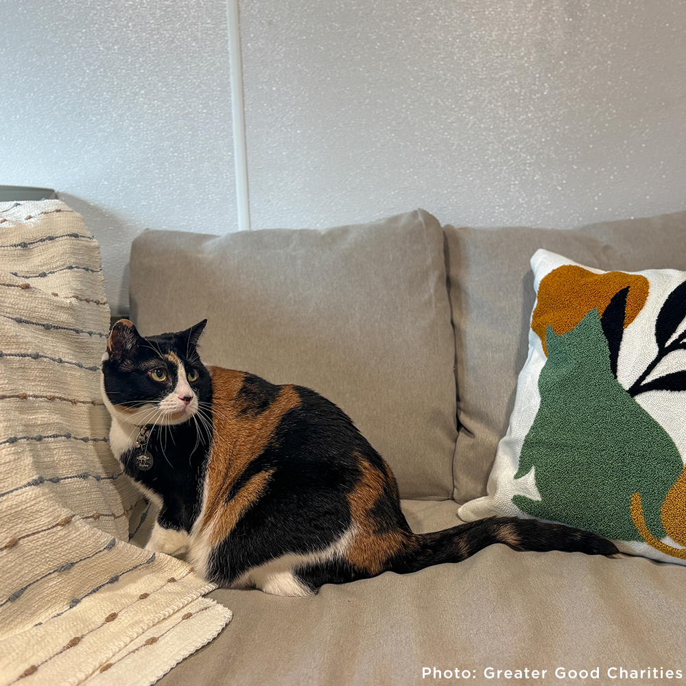 Keep Domestic Violence Victims and Their Pets Together