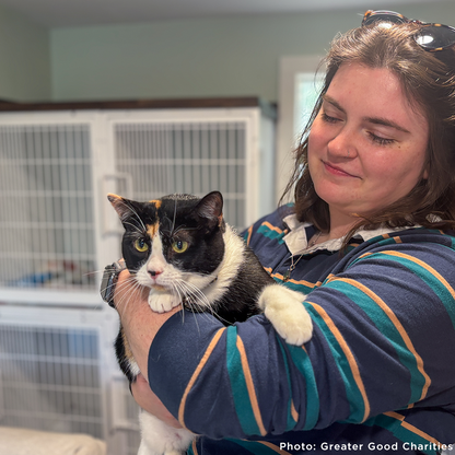 Keep Domestic Violence Victims and Their Pets Together