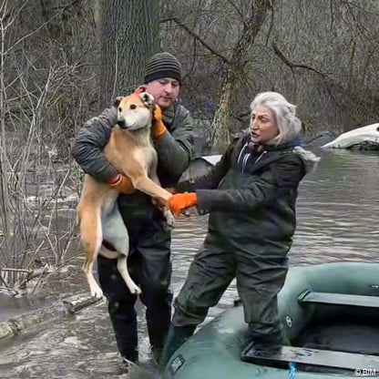 URGENT: Help Evacuate Shelter Pets From Flood Waters