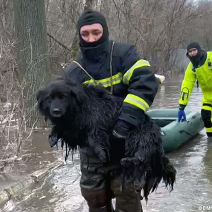 URGENT: Help Evacuate Shelter Pets From Flood Waters