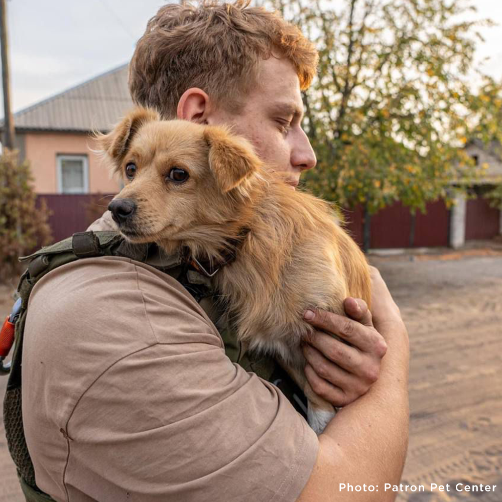 Crisis in Ukraine: Feed Starving and Abandoned Pets The Animal
