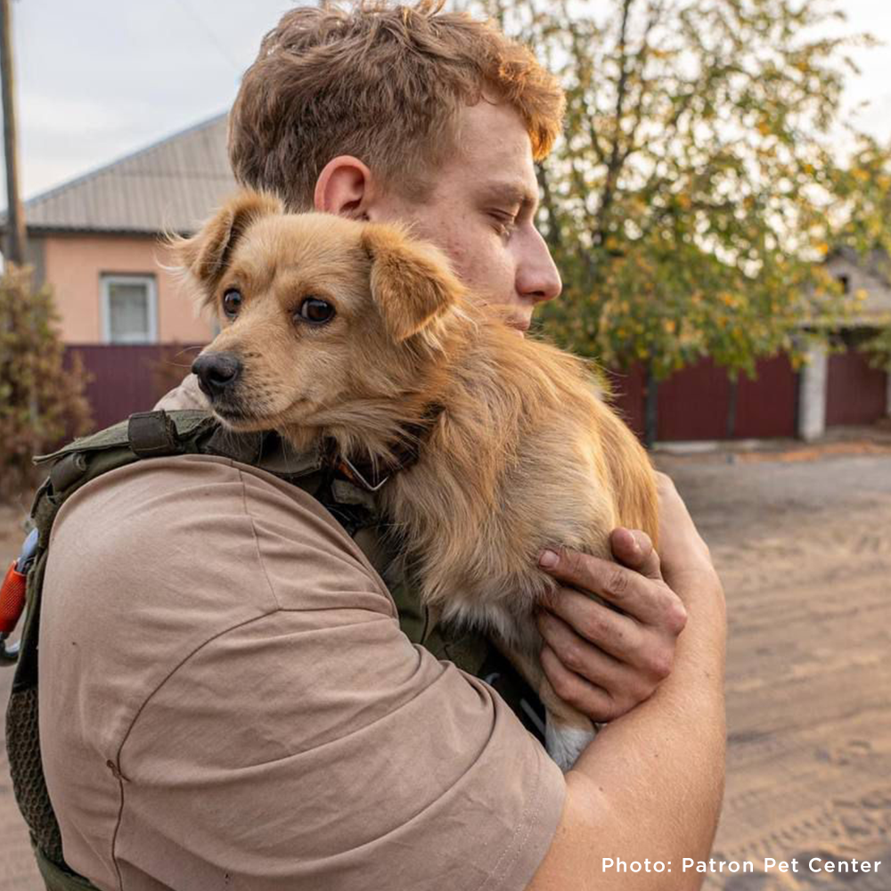 Crisis in Ukraine: Evacuate Pets Out of a War-Zone