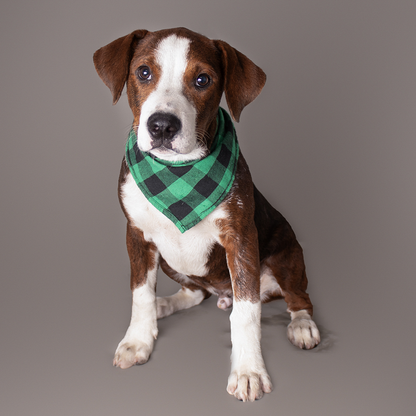 Rescue Runs Deep: Flight To Freedom T-Shirt