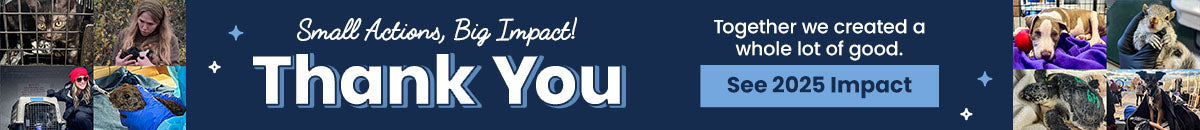 2025 Impact Thank You donation update from The Animal Rescue Site and GreaterGood, featuring rescued animals and caregivers, celebrating donor support and collective impact helping animals worldwide.
