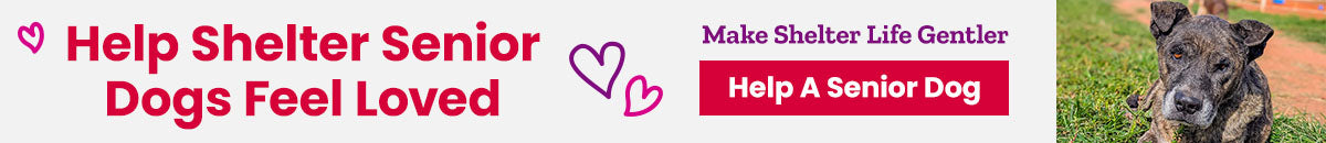 Help Shelter Senior Dogs Feel Loved donation by The Animal Rescue Site and GreaterGood, supporting comfort and care for aging shelter dogs with compassion and dignity.