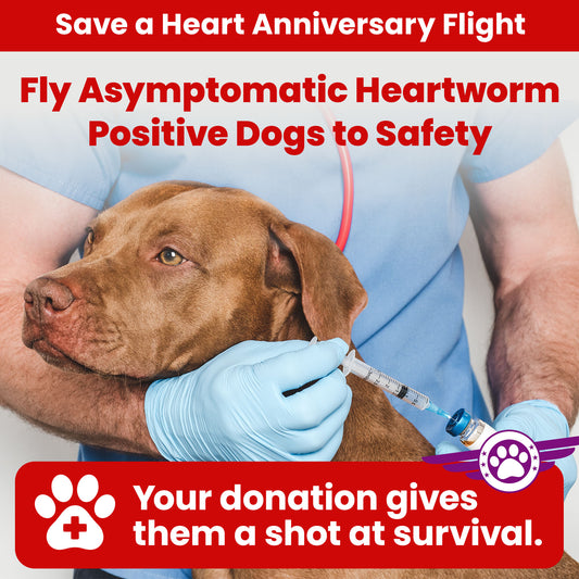 Help Fly Pets to Freedom