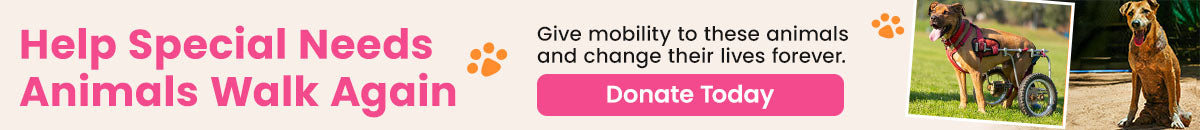 Help Special Needs Animals Walk Again donation, The Animal Rescue Site and GreaterGood; disabled dogs using wheelchairs and mobility aids, support prosthetics and rehabilitation to restore movement and independence