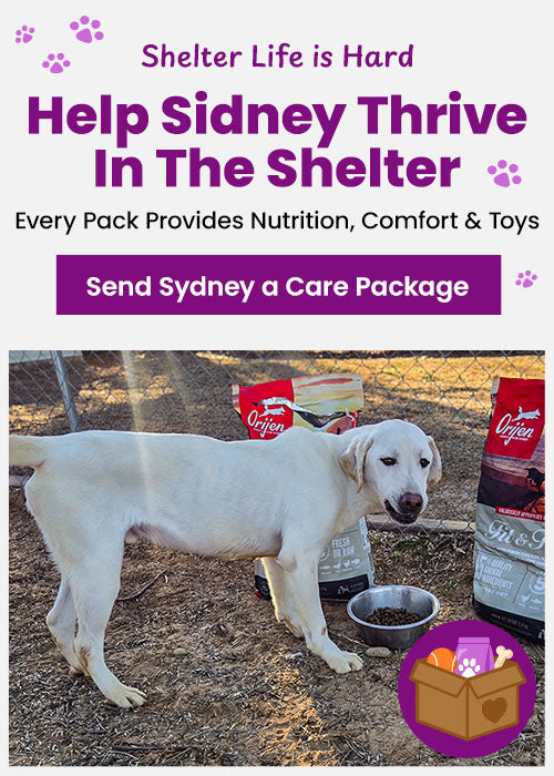 Shelter Pets Need Support donation, The Animal Rescue Site and GreaterGood; pets in shelter care awaiting comfort supplies, enrichment toys, and care packages that provide hope and daily support.