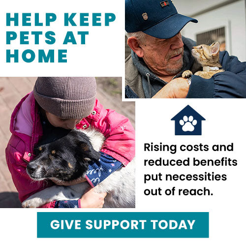 Help Keep Pets at Home donation, The Animal Rescue Site and GreaterGood; support pet families with essential supplies, food assistance, and resources that help keep beloved pets safe at home.