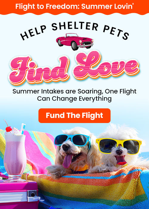 Flight to Freedom: Summer Lovin' donation campaign by The Animal Rescue Site and GreaterGood. Your contribution funds life-saving flights for shelter pets in need.