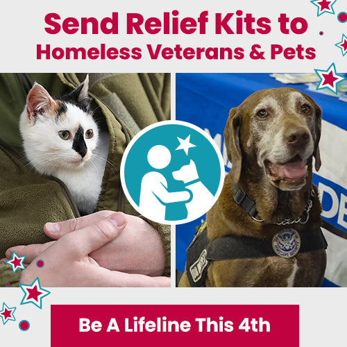 Send Relief Kits to Homeless Veterans and Pets donation campaign by The Animal Rescue Site and GreaterGood. Honor American service this 4th by helping those in need.