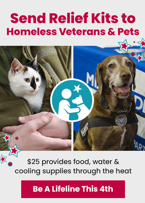 Send Relief Kits to Homeless Veterans and Pets donation campaign by The Animal Rescue Site and GreaterGood. Honor American service this 4th by helping those in need.