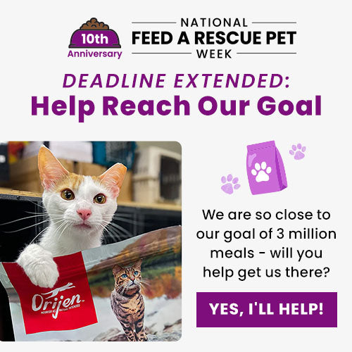 National Feed a Rescue Pet Week 10th Anniversary campaign by The Animal Rescue Site and GreaterGood. Help fund 3 million meals for hungry shelter pets and send meals now.