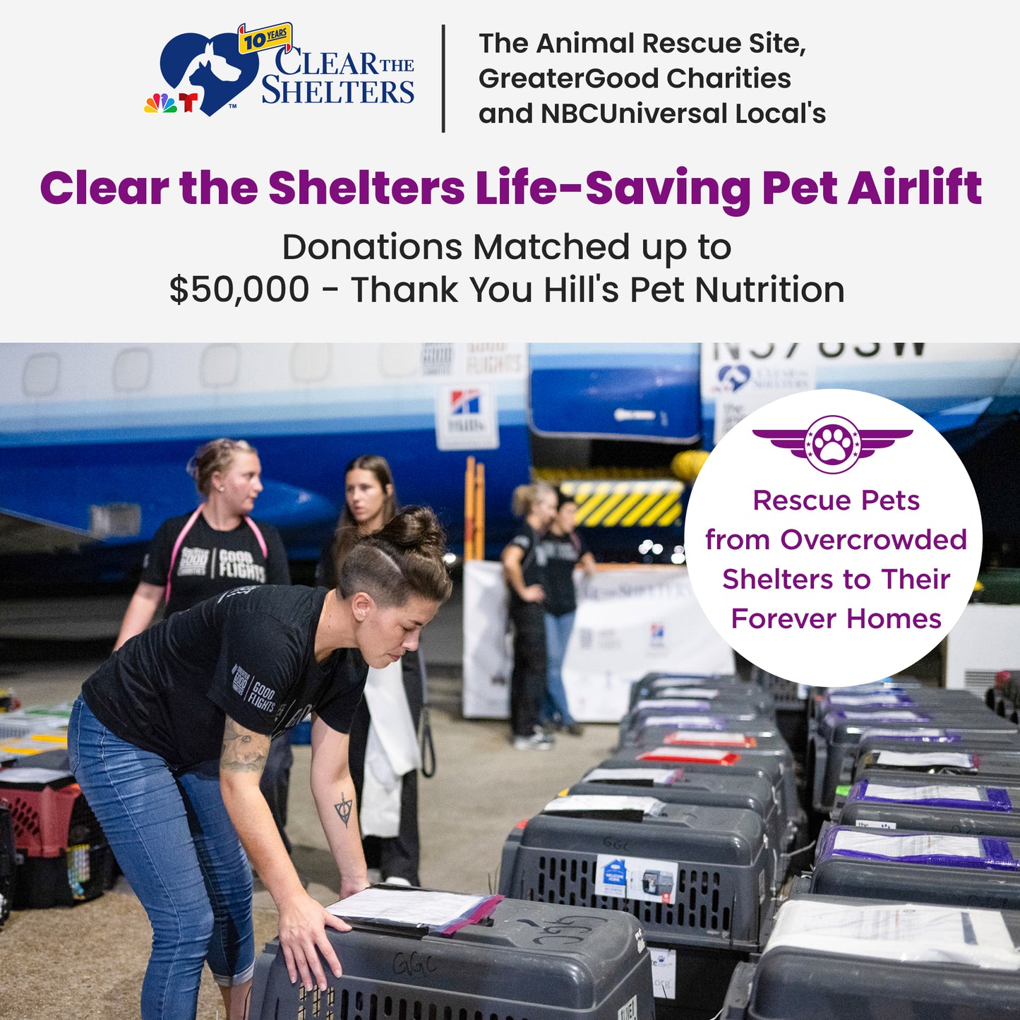 Help Clear the Shelters by Flying Pets to Freedom